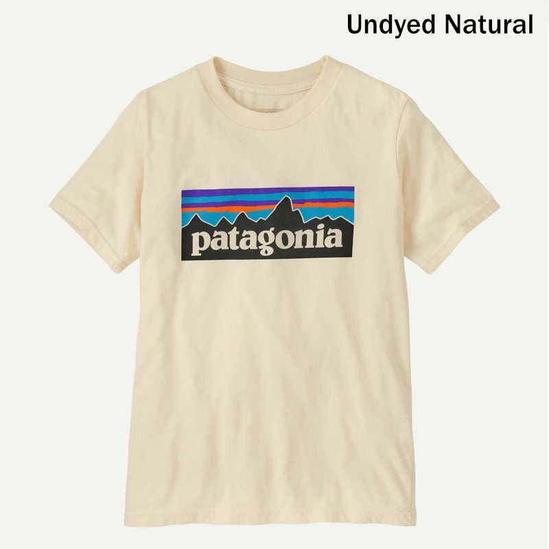 パタゴニア Patagonia/P-6 ロゴ・Tシャツ/62148/Tシャツ カットソー