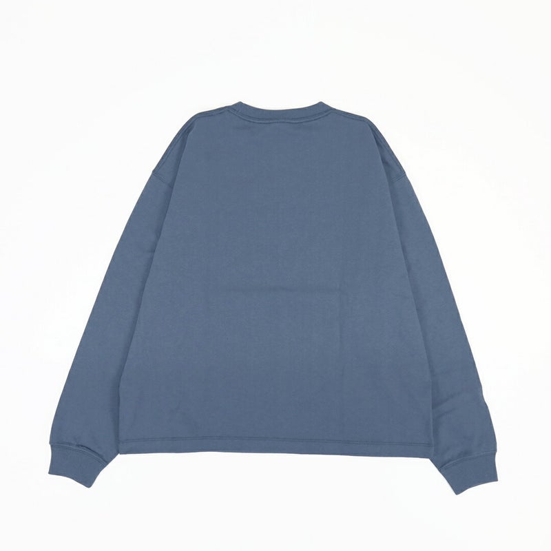 Ra9/ダントンDANTON/Tシャツ/ロングスリーブTシャツ/DT-C0269TCB/レディース【正規取扱】