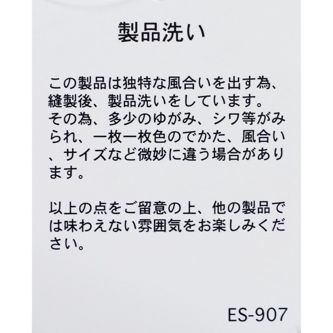 Ra9/ダントンDANTON/シャツ/コットンポプリンレギュラーカラーシャツ/DT-B0434TCV/メンズ【正規取扱】