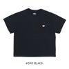 Ra9/ダントンDANTON/Tシャツカットソー/ショートスリーブクロップドTシャツ/DT-C0408CVT/レディース【正規取扱】